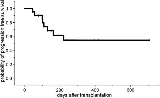 Fig. 2. Progression-free survival.