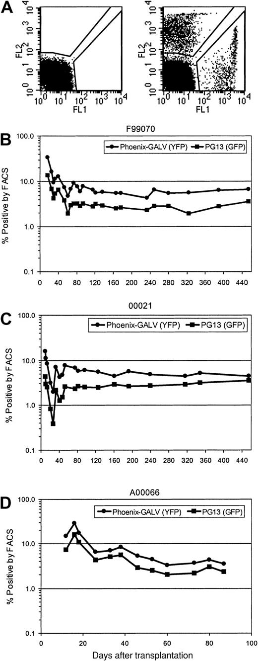 Fig. 1. Higher in vivo marking levels with Phoenix-GALV–derived vectors than with PG13-derived retroviral vectors in nonhuman primates. / (A) Representative example of a flow cytometric analysis of a control animal (no transplant; left panel) and animal F99070 on day 25 after transplantation (right panel). (B-D) Detection of transgene expression over time by flow cytometry in the peripheral blood of 3 baboons transplanted with transduced CD34-enriched marrow. F99070 (B), 00021 (C), A00066 (D).