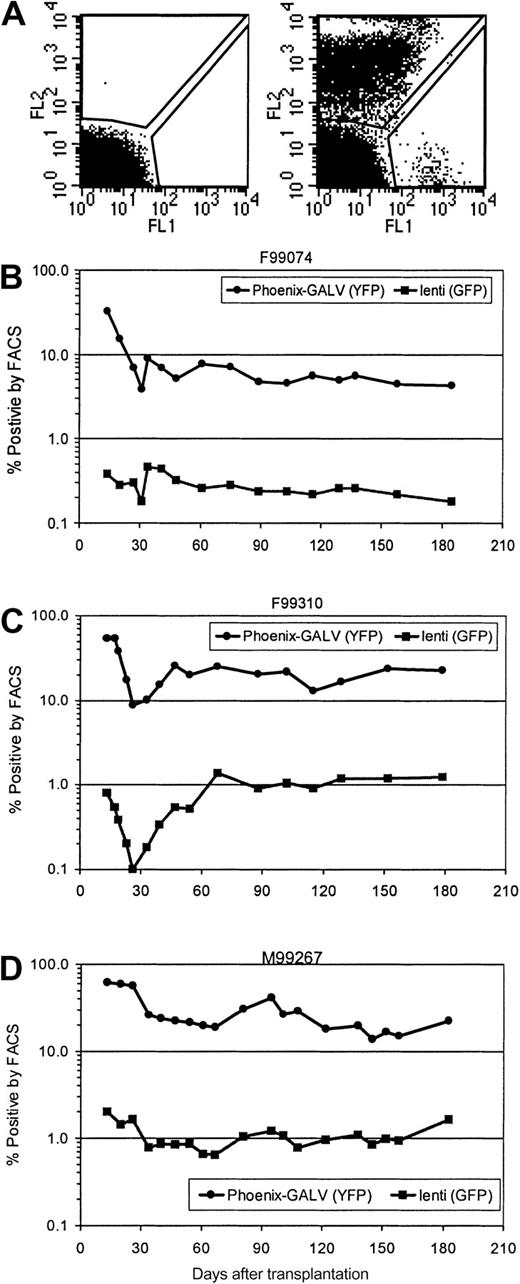 Fig. 2. Higher in vivo marking levels with Phoenix-GALV–derived vectors than with VSV-G–pseudotype lentiviral vectors in nonhuman primates. / (A) Representative example of a flow cytometric analysis of a control animal (no transplant; left panel) and animal M99267 on day 26 after transplantation (right panel). (B-D) Detection of transgene expression over time by flow cytometry in the peripheral blood of 3 baboons that received transplants of transduced CD34-enriched marrow. F99074 (B), F99310 (C), and M99267 (D).