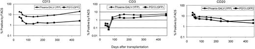 Fig. 3. Transduction of repopulating cells with multilineage potential. / EGFP- and EYFP-expressing cells are detected in all hematologic subpopulations in the peripheral blood of F99070 at different time points after transplantation.