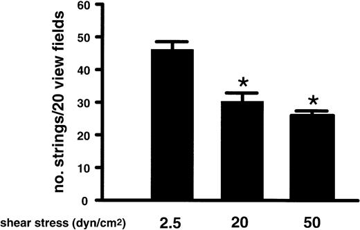 Fig. 4. Formation of ULVWF strings under various conditions of shear stress. / Washed platelets were perfused over histamine-stimulated HUVECs at flow rates that generated fluid shear stresses of 2.5, 20, or 50 dyne/cm2. Formation of the ULVWF strings with adherent platelets was evaluated at the end of 2 minutes of perfusion and quantified in 20 continuous view fields (× 400). The results are expressed as means ± SEM, * Student t test, n = 4,P < .05.