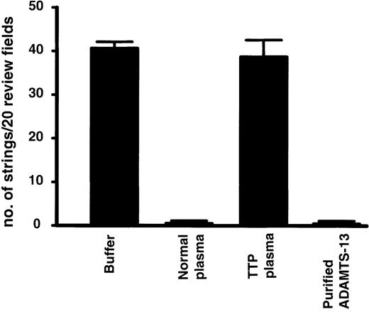 Fig. 7. Cleavage of the ULVWF strings with adherent platelets by normal plasma, TTP plasma, or ADAMTS-13. / Washed normal platelets were perfused over histamine-stimulated HUVECs at 2.5 dyne/cm2 shear stress for 2 minutes to allow formation of ULVWF strings with adherent platelets. Then, either Tyrode buffer, normal plasma, TTP plasma, or partially purified VWF-cleaving metalloprotease was perfused for an additional 2 minutes (for normal plasma and purified VWF-cleaving metalloprotease) or 10 minutes (for buffer or TTP plasma). The number of ULVWF strings with adherent platelets was quantified in 20 continuous view fields (× 400), and the results are expressed as means ± SEM.