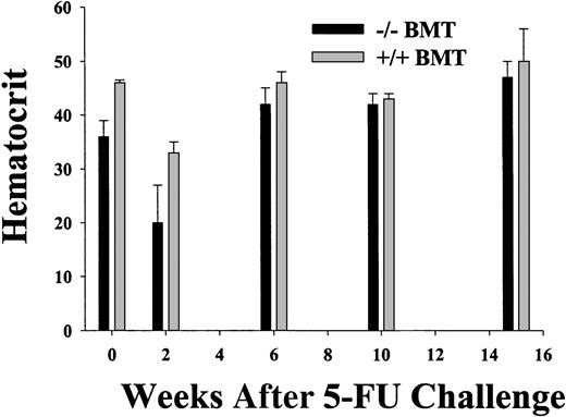 Fig. 3. Recovery from myelosuppression in wild-type and STAT5-deficient chimeric mice following a single injection of 5-fluorouracil. / Chimeric mice were generated by transplantation of wild-type or STAT5ab−/− BM cells into lethally irradiated recipient HW80 mice. Reconstitution of irradiated recipients was determined by hemoglobin electrophoresis. After reconstitution, mice were injected once with 150 mg/kg 5 fluorouracil (5-FU). One week prior to the 5-FU injection and at the indicated times after injection, the mice were bled and the hematocrit was determined. A second experiment was also performed with fewer of the intermediate time points (data not shown). At all time points hemoglobin electrophoresis was also performed to check for donor engraftment (data not shown).