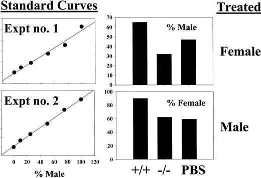 Fig. 4. Competitive repopulation of BM from wild-type and STAT5-deficient mice 48 hours following a single 5-FU injection. / Two separate experiments were performed using a male versus female competitive repopulation assay. In experiment no. 1, female donor mice were 5-FU treated, and in experiment no. 2, male donor mice were treated. In each case, the BM cells were mixed with the opposite sex cells harvested from PBS control–treated mice. BM cells were mixed at a 1:1 ratio, and the relative levels of male engraftment were determined by Southern blot analysis of pooled BM DNA obtained from 2 to 5 recipient mice. Two blots were probed with a male-specific probe, and a standard curve of male DNA mixed with female DNA was run on each gel (left panels). The y-axis for the standard curves is arbitrary units defined from the band volumes using ImageQuant software (Amersham Biosciences). On the right are the results of densitometry showing the percent contribution of the PBS-treated competitor.