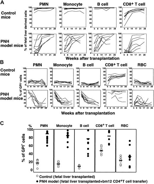 Fig. 6. GPI− multipotential hematopoietic cells can escape CTL attack. / (A) Percentages of Ly5.1+ fetal liver–derived cells in various blood cells of individual mice were shown as a function of weeks after transplantation. Upper panels, control mice (n = 7) that received transplants of GPI+ and GPI−fetal liver cells, and lineage marker–negative bm12 bone marrow cells; lower panels, experimental mice (n = 9) that received transplants of fetal liver cells and lineage marker–negative bm12 bone marrow cells together with CD4+ T cells from bm12 mice. (B) Percentages of GPI− cells in fetal liver–derived cells of various blood cell types plotted as a function of weeks after transplantation. Control and experimental mice were the same as those in panel A. (C) Percentages of GPI− cells in various blood cell lineages determined 5 and 8 weeks after transplantation are shown (data for PMNCs and monocytes are at 5 weeks and for B and T cells and erythrocytes are at 8 weeks). ○ indicates control mice (n = 7); ●, experimental mice (n = 9). Bars represent mean percentages.
