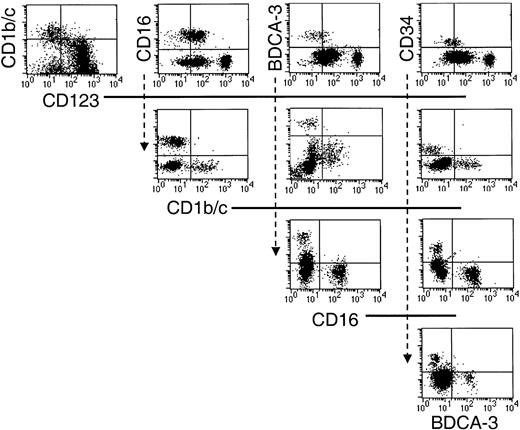 Fig. 3. The 5 phenotypically defined subsets in CD56-depleted Lin− PBMC preparations represent nonoverlapping populations. / Sort-purified HLA-DR+ Lin− cells were stained with various combinations of the defining mAb as indicated in the dot-plot representations.
