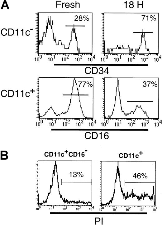 Fig. 6. Differential survival of Lin−HLA-DR+ PBMC subpopulations. / (A) The frequency of CD34+ or CD16+ cells was examined in freshly sorted or cultured (18 hours with GM-CSF and IL-3) Lin− CD11c− or CD11c+ cells, respectively. The preferential survival of CD34+ cells over CD123hi (top panel) and reduced frequency of the CD11c+CD16+ subset (bottom panel) following culture were noted. (B) The frequency of dead cells was examined in 18-hour cultures of sort-purified CD11c+CD16−and CD11c+ (CD16+ inclusive) populations. An increase in the percentage of PI+ (dead) cells was associated with the CD11c+ (CD16+inclusive) cultures.