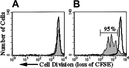 Fig. 1. Effect of growth factors on proliferation of CD34+PBSCs in 3-day culture. / (A) CD34+PBSCs cultured in medium with only FLT3-L did not proliferate (30% viable). (B) CD34+PBSCs cultured in FLT3-L, SCF, G-CSF, TPO, and Pixykine resulted in 95% of cells demonstrating 1 to 4 divisions (more than 90% viable). Colchicine (100 ng/mL)-treated CD34+PBSCs served as a control for nondivided cells (open unshaded histogram in panels A and B).