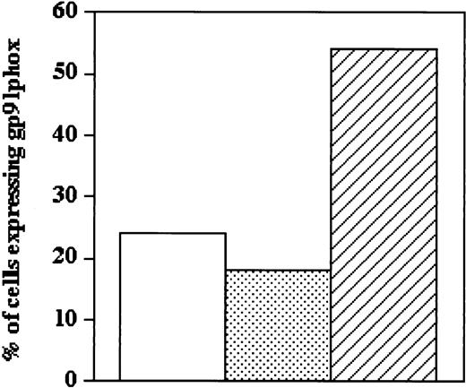 Fig. 3. Expression of gp91phox in cultured X-CGD CD34+PBSCs under optimum conditions for ex vivo transduction with lentivector or oncoretrovirus vector. / Shown is the percentage of 17-day cultured CD34+PBSCs expressing gp91phox comparing nontransduced normal CD34+PBSCs (open bar) with X-CGD CD34+PBSCs that had been subjected to 3 daily 7-hour transductions under growth-stimulating conditions (5 cytokines) using either 3rd-generation SIN lentivector–gp91phox (dotted bar) or MFGS–gp91phox (hatched bar). Cultured CD34+PBSCs were labeled with FITC-conjugated anti-gp91phox and analyzed by flow cytometry, and the data were expressed as the percentage of cells that exhibit an expression of gp91phox that is higher than the 95thpercentile of isotype antibody control. By this criterion nontransduced X-CGD CD34+PBSCs do not give rise to any cells that are positive for the expression of gp91phox (not shown). Normal control CD34+PBSCs differentiating in culture first gave rise to differentiated myeloid cells that expressed native gp91phox by approximately day 8 of culture, and this increased to a steady state maximum by approximately day 15, which, in the example shown at day 17 of culture, demonstrated approximately 24% of cells positive for the expression of gp91phox (open bar). Results are representative of 2 experiments.