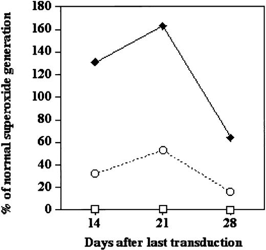 Fig. 4. Functional correction of oxidase activity in cultured X-CGD CD34+PBSCs under optimum conditions for ex vivo transduction with lentivector or oncoretrovirus vector. / Shown is the correction of oxidase activity over 28 days (after last transduction) of culture of X-CGD CD34+PBSCs under growth-stimulating conditions (5 cytokines) comparing nontransduced control X-CGD CD34+PBSCs (■) with the same cells that had been subjected to 3 daily 7-hour transductions using third-generation SIN lentivector–gp91phox (○) or MFGS–gp91phox (♦). PMA-stimulated superoxide generation, as measured in a chemiluminescence assay, is expressed as the percentage of the stimulated superoxide generation by a similar culture of normal CD34+PBSCs. Results are representative of 2 experiments.