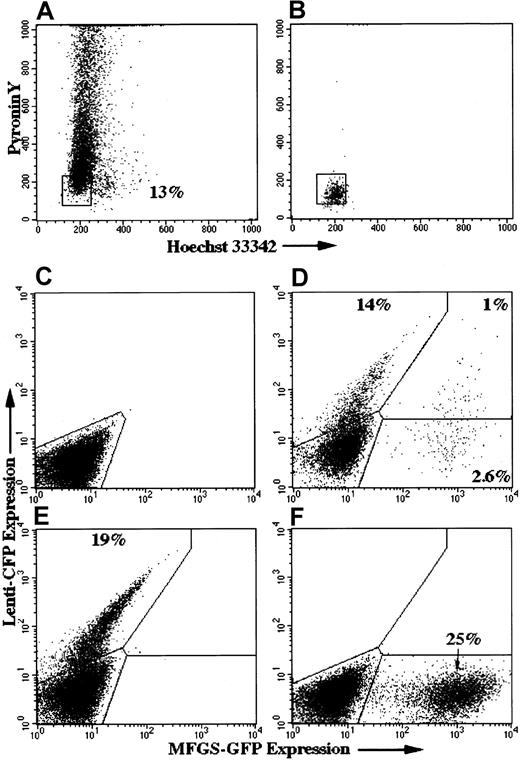 Fig. 10. Lentivector but not oncoretrovirus MFGS-vector efficiently transduced G0-sorted CD34+PBSCs. / CD34+PBSCs were sorted for the G0 cell-cycle phase using Hoechst 33342 (DNA dye) and Pyronin Y (RNA dye) 18 hours after the initiation of culture in proliferation-permissive growth medium. The gate for sorting G0 cells (low DNA, low RNA content) were selected as depicted in panel A. Postsort analysis (B) confirms the accuracy of the cell-sorting procedure. Sorted G0 CD34+PBSC cells were cotransduced with lentivector–CFP and MFGS–GFP at 24 hours and 48 hours after sorting and were analyzed on day 10 by flow cytometry. Gates were drawn according to simultaneously performed single lentivector–CFP and MFGS-GFP transductions on unsorted (E,F) and naive CD34+PBSCs (C). Although the MFGS vector achieved higher transduction levels in the unsorted population (25% vs 19%), the lentivector outperformed the MFGS vector in transduction of the G0 sorted cells (D).