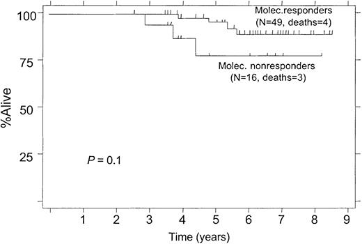 Fig. 6. Overall survival according to molecular response status within the first year, 12-month landmark analysis. / (Molec. Responders, PCR-negative status after treatment; Molec. Nonresponders, PCR-positive status after treatment.)