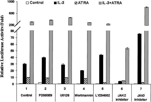Fig. 4. The Jak2 inhibitor (AG490) inhibits the IL-3–induced enhancement of RAR transcriptional activity in EML cells. / The SCF-dependent EML cells were incubated overnight (15 hours) in the presence or absence of IL-3 (5 ng/mL) as indicated. Cells were then incubated for 60 minutes in the various chemical inhibitors (respective concentrations are noted in “Materials and methods”). The cells were then electroporated with the βRARE-tk-Luc reporter (25 μg) and the internal control β-galactosidase reporter (20 μg) and after electroporation the cells were maintained in the same inhibitors with or without IL-3 and with or without ATRA treatment (1 μM) as indicated. Five hours later, the cells were harvested and relative luciferase activity was determined on cell extracts as detailed in “Materials and methods.” Results represent the averages and SDs from at least 3 independent experiments.