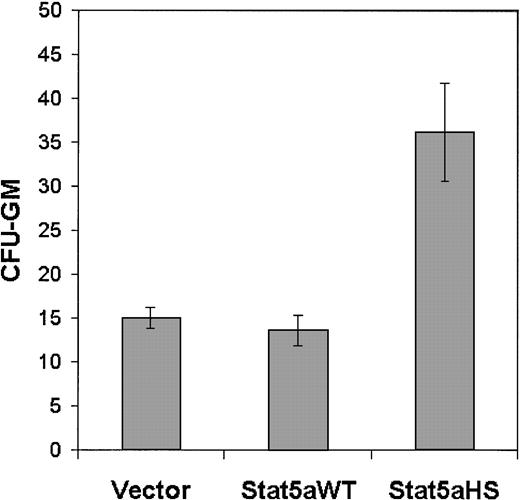 Fig. 6. Constitutively active Stat5 enhances CFU-GM generation in SCF-dependent EML cells. / EML cells were electroporated with different expression vectors including an empty vector, the wild-type Stat 5 (Stat5aWT), or the constitutively active Stat5 (Stat5aHS; 40 μg of each). Six to 8 hours following electroporation the cells were harvested and assayed for CFU-GM as detailed in “Materials and methods.” Results represent the averages and SDs of 4 independent experiments, and for Stat5aHS,P < .01.