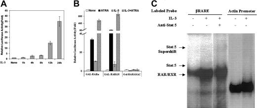 Fig. 9. Stat5 is likely not an immediate early activator of the βRARE. / (A) SCF-dependent EML cells were incubated with IL-3 for the indicated period of time, and the cells were then electroporated with the βRARE-tk-Luc reporter (25 μg). Five hours later, the cells were harvested and relative luciferase activity was determined on cell extracts using a β-galactosidase reporter (20 μg) as an internal control. (B) EML cells as well as EML cells treated overnight with IL-3 as indicated were electroporated with 25 μg of the p(UAS)5-LUC reporter together with 25 μg of each of the indicated plasmids and then cultured in the presence or absence of ATRA (1 μM) as indicated. After 5 hours the relative luciferase activity was determined on cell extracts using a β-galactosidase reporter (20 μg) as an internal control. For panels A and B, results represent the averages and SDs of triplicate samples. As detailed in “Materials and methods” the GAL-RARα and GAL-RARΔN vectors harbor the full-length and N-terminal–deleted RARα cDNA, respectively, whereas the GAL-RARΔNΔC vector also has a deleted C-terminal domain, which renders it unresponsive to ATRA stimulation. (C) BaF3-RXR cells were cultured in IL-3–deficient media for 24 hours. Nuclear extracts from these cells as well as from these same cells stimulated for 1 hour with IL-3 as indicated were used in an EMSA and EMSA supershift with the indicated oligonucleotides and antibody. The actin promoter fragment binds to a ubiquitously expressed nuclear protein23 and thus serves as a control for the amount of nuclear extract used in the EMSA.