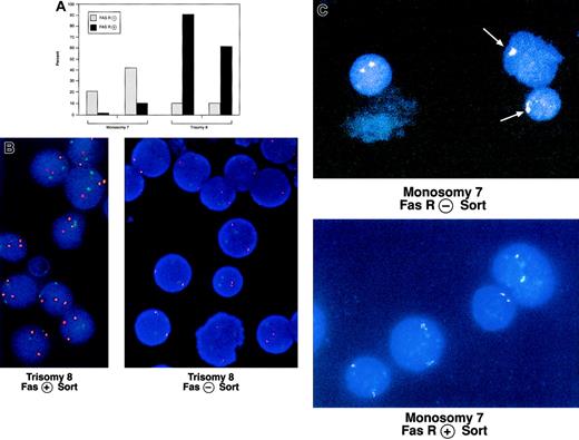 Fig. 4. Comparison of CD95 expression on cells with trisomy 8 and monosomy 7 and normal cells from the same donor. / BM was obtained from 2 patients with trisomy 8 and 2 patients with monosomy 7 and stained with CD3-PE and CD95-FITC mAbs. CD3− cells were positively selected and sorted into CD95− and CD95+ aliquots, which were prepared for FISH with fluorescent probes for chromosome 7 or 8. The proportion of cells with each cytogenetic abnormality is shown in panel A. An example of stained cells in the Fas− and positive aliquots are seen in panel B (trisomy 8; chromosome 8 is orange; chromosome 7, a control, is green) and panel C (monosomy 7; chromosome 7). Trisomy 8 sample on the left was obtained from a patient with a history of aplastic anemia.