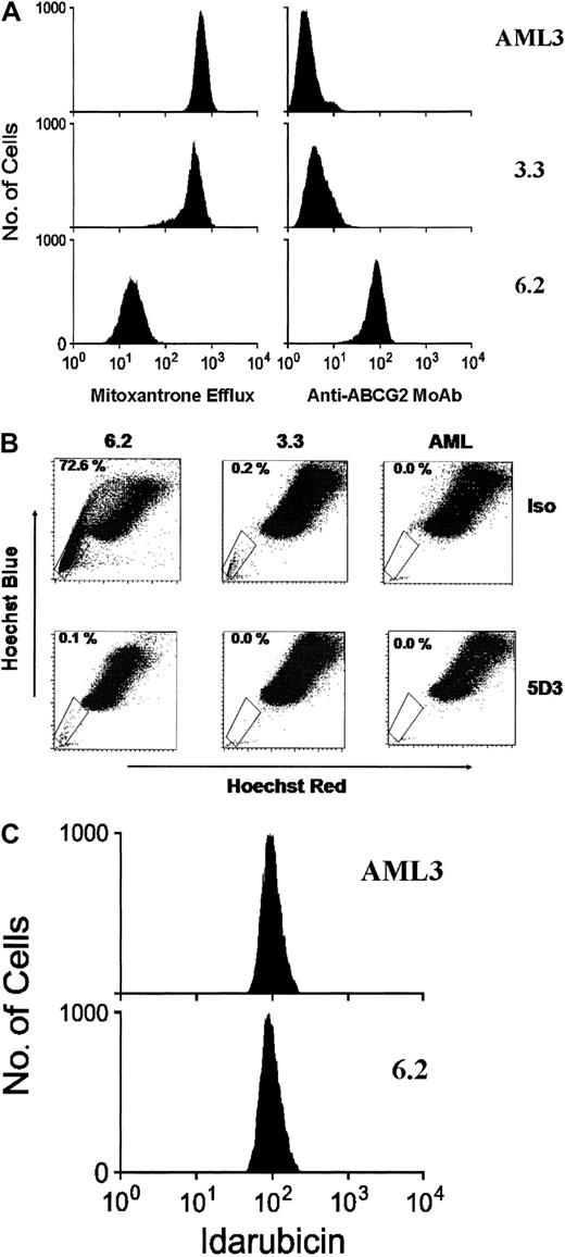 Fig. 1. ABCG2 protein expression and function in cell lines. / ABCG2 protein expression and function measured in cell lines using (A) mitoxantrone efflux and anti-ABCG2 monoclonal antibody 5D3, (B) SP analysis and antibody inhibition, and (C) idarubicin efflux. Panel A shows results of flow cytometry for mitoxantrone, in which higher fluorescence levels indicate higher intracellular retention of the fluorescent antitumor agent mitoxantrone. Results also are shown for anti-ABCG2 monoclonal antibody 5D3–labeling of the cell lines. Panel B shows an SP analysis of the cell lines after incubation with either the 5D3 antibody (bottom row), which inhibits ABCG2 function, or an isotype control antibody (top row). The percentage of cells within the SP gate is shown in the upper left corner of each analysis. Panel C represents the results of flow cytometry for idarubicin in the parental cell line AML3 and clone 6.2.