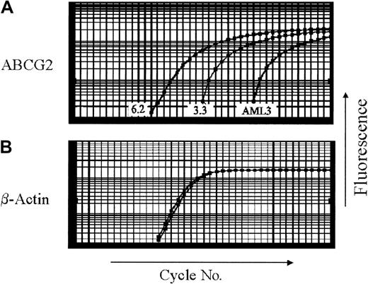 Fig. 4. ABCG2 mRNA expression by quantitative real-time RT-PCR in cell lines. / (A) ABCG2, (B) β-actin. RNA from parental AML3, clone 3.3, and clone 6.2 cells was analyzed by real-time RT-PCR. Amplification plots of real-time RT-PCR depict the fluorescent signal (y-axis) compared to reaction cycle number (x-axis). Ct values are defined as the reaction cycle number at which fluorescent signal crosses the threshold over background. To normalize for RNA loading, the Ct value for ABCG2 is subtracted from the Ct for β-actin, to obtain the ΔCt. The resulting ABCG2 level of clone 3.3 was used as the reference point for all subsequent real-time RT-PCR experiments.