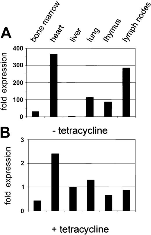 Fig. 8. Inducible expression of cre by human CD34 elements: suppression by tetracycline. / (A) Expression of the cre transgene in the tissue of a double-transgenic mouse (CD34tTA-Tet-O-cre) in the absence of tetracycline. The expression level for liver was used to quantitate relative expression in other tissues as described in the legend to Figure 7. (B) Suppression of cre expression in the presence of tetracycline. A double-transgenic mouse was kept on tetracycline for 5 days before it was killed. The level of Cre RNA in liver in the absence of tetracycline (Figure 7A) was used to quantitate relative cre RNA. Note that the relative scale is approximately 100-fold lower than that in Figure 7A.