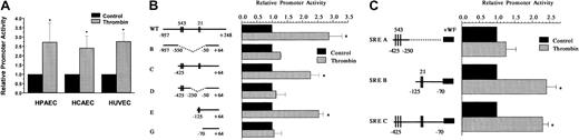 Fig. 3. Thrombin induces Egr-1 promoter activity in primary endothelial cells. / Primary human endothelial cells were transiently transfected with 0.5 μg of Egr-1 promoter reporter gene constructs, serum-starved in EBM-2 medium containing 0.5% FBS for 18 hours, treated in the absence or presence of 1.5 U/mL thrombin for 6 hours, and then harvested for luciferase activity. The results show the means and standard deviations of luciferase light units (relative to control untreated cells) obtained in triplicate from 4 independent experiments. Luciferase light units were corrected for transfection efficiency as described in “Materials and methods.” (A) HPAECs, HCAECs, or HUVECs were transiently transfected with the full-length wild-type 1200-bp Egr-1-Luc plasmid. (B) HUVECs were transiently transfected with a series of 5′ or internal deletion mutants of the Egr-1promoter coupled to a luciferase reporter gene (pXP2). Sequences are numbered relative to the start site of transcription. The SREs are shown in bars. (C) HUVECs were transiently transfected with SRE heterologous promoter constructs, in whichEgr-1 promoter fragments encompassing the 5′ SRE cluster, 3′ SRE cluster, or both clusters were fused upstream of a minimalvon Willebrand factor (VWF) core promoter as previously described.28 For all panels, *P < .01, compared with control untreated cells.