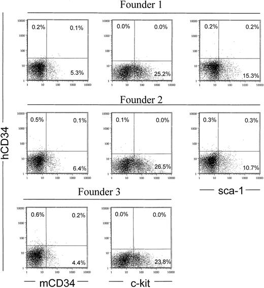 Fig. 6. Deletion of human sequences from −18 to −10 kb and from +17 to +26 kb results in loss of expression in bone marrow of transgenic mice. / Fluorescence cytometric analysis of bone marrow cells from 3 human CD34 transgenic mice founders, containing XhoI-digested PAC54A19 DNA, as described in the legend to Figure 3.