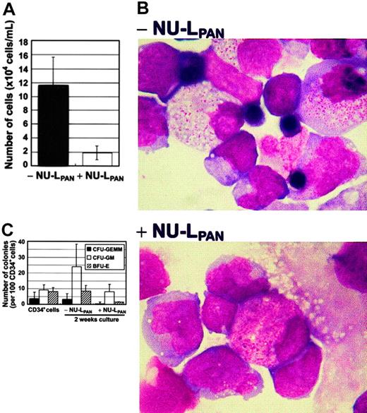 Fig. 1. MS-5–induced proliferation and differentiation of CD34+ cells. / CD34+ cells were plated at 1 × 104 cells/mL on MS-5 feeder cells with or without the addition of 20 μg/mL NU-LPAN. After 2 weeks, the number of cells was determined (A). NU-LPAN prohibited erythroid maturation as demonstrated by Wright staining (B); original magnification, × 125. CD34+ cells and cultured cells were subjected to colony formation assay and the numbers of each CFU-GEMM, CFU-GM, and BFU-E were determined (C). For panels A and C, data are represented as the means ± SD (n = 3).