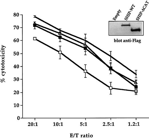 Fig. 8. SHIP-1–mediated catalytic activity is involved in the regulation of NK cell–mediated cytotoxicity. / Cultured human NK cells were left uninfected (no symbol) or infected with empty virus (▵) or with recombinant vaccinia virus encoding Flag-tagged SHIP-WT (■) and SHIP-ΔCAT (▪) and were assayed in a 4-hour 51Cr release assay against P815 targets in the presence of 5 μg/mL anti-CD16 mAb. Data are expressed as percent specific cytotoxicity ± SD obtained from 3 independent experiments. Overexpressed SHIP constructs in one representative experiment are shown (inset).