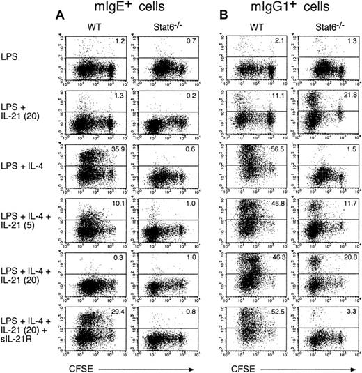 Fig. 4. IL-21 inhibits IL-4–induced IgE production at single cell levels. / Purified splenic B cells from BALB/c mice or Stat6−/−mice were labeled with CFSE and then stimulated with LPS (10 μg/mL) in the presence of IL-4 (50 ng/mL) or IL-21 (0-20 ng/mL) or both for 6 days. Where indicated, sIL-21R (20 μg/mL) was added to the culture. mIgE+ cells (A) and mIgG1+ cells (B) with the intensity of CFSE were detected by anti-IgE antibody and anti-IgG1 antibody, respectively. Shown are representative FACS profiles from 5 independent experiments and the numbers in the top right-hand corner indicate the percentage of mIgE+ cells and mIgG1+ cells.