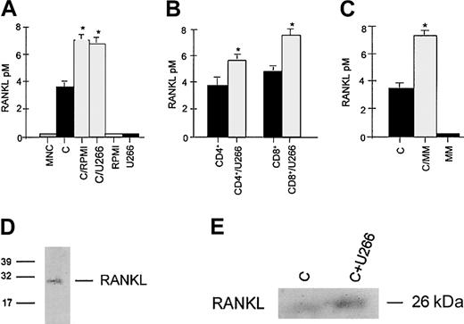 Fig. 2. Effect of myeloma cells on RANKL secretion by activated T lymphocytes. / Aliquots of conditioned media were assessed for sRANKL by ELISA. Activated CD3+ T lymphocytes (A) or CD4+/CD8+ subsets (B) were cocultured with HMCL RPMI-8266 or U266 placed in a transwell insert. Autologous CD3+ T cells were cocultured with fresh MM cells (panel C). (C indicates activated CD3+ T cells.) Graphs represent the mean levels ± SE of 3 repeated experiments. *P < .05. Secretion of RANKL into conditioned medium was checked by immunoprecipitation with RANK-Fc followed by gel electrophoresis. RANKL protein was detected either by gel staining with silver stain plus in conditioned medium of activated T cells cocultured with HMCL (D) or by immunoblot analysis using anti-RANKL mAb (E). Data are representative of 3 independent experiments. C indicates activated CD3+ lymphocytes).