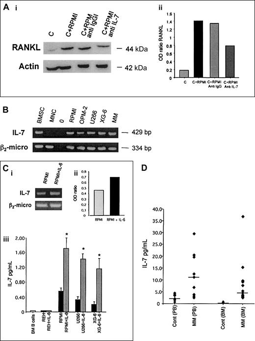 Fig. 5. Effect of anti–IL-7 mAb in cocultures and IL-7 expression and production by HMCLs and MM patients. / (A) Activated CD3+ cells were cocultured with HMCL RPMI-8226 in the presence or absence of anti–IL-7 polyclonal antibody (0.03 μg/mL) for 24 hours (i); a polyclonal anti-IgG was used as control. RANKL expression was analyzed by Western blot analysis. The figure is representative of 3 independent experiments; C indicates control (activated CD3+lymphocytes). Band intensity was quantified by densitometry and graphically presented (ii) as OD ratio of a representative experiment (optical density of RANKL normalized to the OD of actin). (B) Analysis of IL-7 mRNA expression in HMCLs (RPMI-8226, OPM-2, U266, XG-6) and fresh purified MM cells by RT-PCR. Bone marrow stromal cells (BMSCs) were used as positive control and PB MNCs from healthy subjects as negative control. (C) RT-PCR analysis of IL-7 expression in HMCL RPMI-8266 stimulated with IL-6 (20 ng/mL) for 24 hours. The intensity of the bands was quantified by densitometry; graph (ii) represents the mean OD of IL-7 normalized to the OD of β2-microglobulin (OD ratio) of a representative experiment. Aliquots of conditioned media of normal bone marrow B cells or B leukemia cell line REH and HMCLs (RPMI-8226, U266, XG-6) incubated in presence or absence of IL-6 (20 ng/mL) were assessed for IL-7 levels by ELISA (iii). Graph at bottom represents the mean levels ± SE of 6 repeated experiments. *P < .001. (D) PB serum and BM plasma were obtained from MM patients and healthy subjects. IL-7 levels were detected by ELISA (plots represent individual value and bars the median levels).