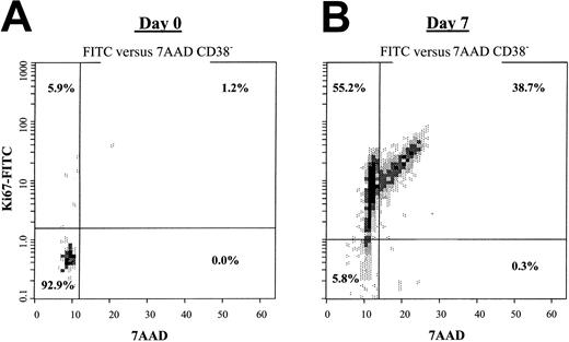 Fig. 2. HUBEC culture induces cell division within quiescent ABM CD34+CD38− cells. / (A) The dot plot shows the 7-AAD versus Ki-67 FITC profile for steady-state bone marrow CD34+CD38− cells, with the majority of the population residing in G0. (B) CD34+CD38− cells were FACS-sorted from 7-day HUBEC cocultures and stained for 7-AAD versus Ki-67 FITC expression, demonstrating that the majority of the CD34+CD38− population had entered cell cycle. Cell cycle analysis of CD34+ cells was performed by means of the SID method described in “Materials and methods.”