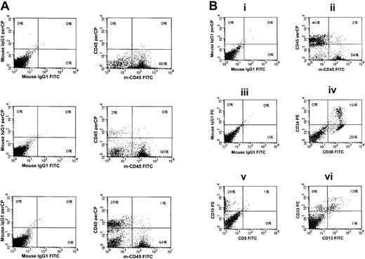 Fig. 4. Phenotypic analysis of HUBEC-cultured cells engrafted in the bone marrow of NOD/SCID mice. / (A) Expression of human CD45+ cells within the bone marrow of a control NOD/SCID mouse that did not receive a transplant (top); expression of human CD45+ cells within the bone marrow of a NOD/SCID mouse that received a transplant of 1 × 106fresh ABM CD34+ cells (middle); and expression of human CD45+ cells within the bone marrow of a NOD/SCID mouse that received a transplant of the progeny of 1 × 106 ABM CD34+ following coculture with HUBECs (bottom). Isotype controls are shown at left. (B) Lineage distribution of engrafted human cells within a representative mouse that received a transplant of HUBEC-cultured cells. Panel Bi, murine marrow stained with isotype control IgG1-FITC and IgG1–peridinin chlorophyll A protein (IgG1-PerCP). Panel Bii, staining of murine marrow with anti-human CD45-PerCP and anti-murine CD45-FITC, showing both human and murine populations. Panel Biii, isotype staining with IgG1-FITC and IgG1-PE. Panel Biv, expression of human CD34-PE and CD38-FITC on engrafted cells within murine marrow. Panel Bv, staining with anti-CD19 and anti-CD3, demonstrating CD19 expression on engrafted human cells. Panel Bvi, expression of human CD33 and human CD13 on engrafted cells within the marrow.