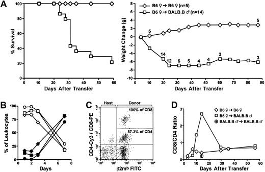 Fig. 1. GVHD in B6 → BALB.B mice. / Splenocytes (2 × 107) along with 5 × 106BM cells from B6 female mice were injected intravenously into irradiated (900 cGy) allogeneic BALB.B male (B6 → BALB.B) or syngeneic (B6 → B6) recipients. (A) Percent survival and mean weight plot (number of survivors indicated for some data points). (B) Recipient leukocytes disappear and transferred allogeneic donor leukocytes appear in the spleen and liver before they are detected in the blood. B6 recipient cells were distinguished from donor cells using the β2-mb allotypic marker. In 1B, squares indicate spleen cells; diamonds, liver cells; and circles, PBLs. Open symbols represent recipients and closed symbols represent donors. (C) Seven days after allogeneic transfer, all CD8 cells and a majority of CD4 T cells in host blood are of donor origin (β2-mb+). (D) Kinetics of donor-derived CD4 and CD8 T cells from host blood after allogeneic and syngeneic transfer. Data are representative of 2 to 3 independent experiments.