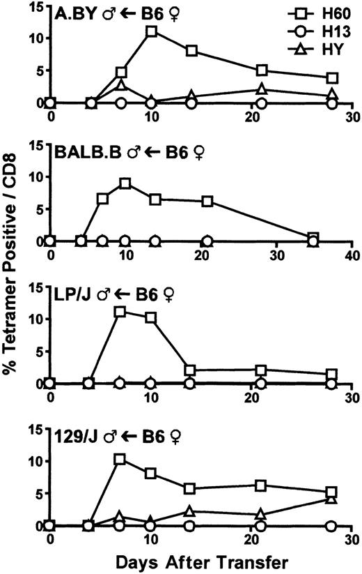 Fig. 5. H60 immunodominance occurs on different genetic backgrounds. / H-2b–matched A.BY, BALB.B. LP/J and 129/J male mice were injected with a mixture of splenocytes and BM cells from female B6 mice. After allogeneic transfer, pooled PBLs from 10 recipients were collected serially and stained with anti-CD8 mAb and tetramers for H60, H13, and HY minor H Ags. Data are representative of 3 experiments.