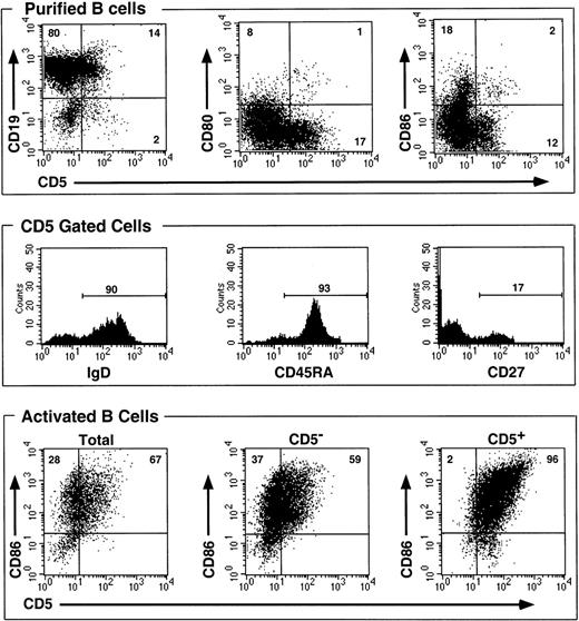 Fig. 1. CD5+ peripheral blood B cells do not belong to an activated subset, and only a fraction of activated B cells express CD5 following activation. / B cells were purified by negative selection on beads from normal PBMCs leading to a greater than 90% pure population. Cells were double stained with mAbs, before (top and middle) or after activation with F(ab′)2 anti-IgM (10 μg/mL) and CD40 ligand trimer (2.5 μg/mL final) for 48 hours (bottom). Percentages of positive cells are shown on bars or inside quadrants.