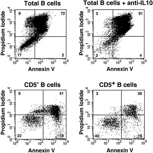 Fig. 7. IL-10 protects B cells from cell death. / (Top) Bulk B cells were stimulated with F(ab′)2 anti-IgM (10 μg/mL) and CD40 ligand trimer with or without neutralizing anti–IL-10 antibodies. Cells were then stained at day 7 with FITC-labeled Annexin V and PI and were analyzed using fluorescence-activated cell sorting (FACS). (Bottom) Purified CD5− and CD5+ B cells were activated as above for 48 hours, and apoptosis was measured at day 4. Results are representative of 3 experiments.