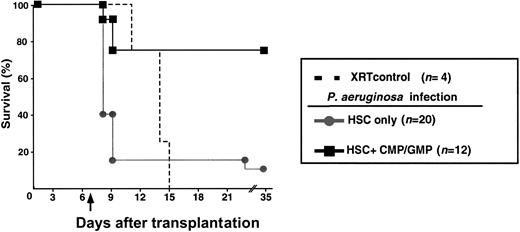 Fig. 4. Survival of mice against lethal infection withPseudomonas aeruginosa. / Groups of mice were challenged with P aeruginosa (D+7, 300 CFUs, intraperitoneally) following total body irradiation and reconstitution with 200 HSCs (gray filled circles) or with 200 HSCs plus 1 × 104 CMP and 2 × 104 GMP (black filled squares; P = .0002). Mice that succumbed to infection became moribund as early as 18 hours after infection. Animals that survived beyond D+10 remained healthy throughout the experimental period. Animals not undergoing transplantation that were not infected served as controls for the lethal irradiation dose (broken line). The arrow indicates day of challenge with P aeruginosa.
