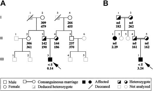 Fig. 1. Family pedigrees of the 2 afibrinogenemic probands. / (A) Pedigree of the Italian proband and (B) of the Iranian proband. Functional and immunoreactive plasma fibrinogen values (mg/dL) of the probands and of their available family members are indicated in this order below the corresponding symbols. Probands are indicated by an arrow. nd indicates not done.