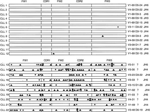 Fig. 1. Analysis of the somatic mutations in the immunoglobulin VHgenes of 22 CLL patients. / The distribution of replacement (▴) and silent (*) mutations in the complementarity determining regions (CDRs) and framework regions (FWs) of each heavy chain are indicated. Listed on the left margin are the designations for the heavy chain of each CLL sample. Indicated on the right margin are the VH genes, known D segments, and JH genes that have the highest homology with each heavy-chain cDNA sequence.
