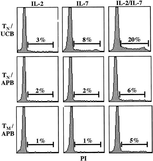 Fig. 1. The IL-2 and IL-7 cytokines preferentially induce cell-cycle entry in recent thymic emigrants. / Naive (CD45RA+; TN) and memory (CD45RO+; TM) CD4+-resting T lymphocytes were isolated from umbilical cord blood (UCB) and adult peripheral blood (APB) by negative selection. Cells were cultured in vitro in the presence of IL-2 (100 U/mL) and/or IL-7 (10 ng/mL), and cell-cycle entry was monitored at day 4 by assessing DNA content of propidium iodide–stained cells on a FACScan cytometer (Becton Dickinson, San Jose, CA). The percentage of cells in the S and G2/M phases of the cell cycle are indicated, and results are representative of data obtained in 1 of 3 representative experiments.