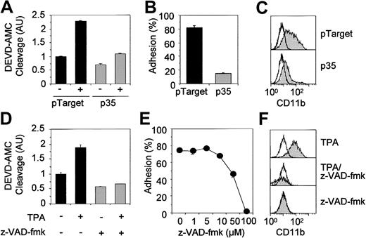 Fig. 6. The p35 and z-VAD-fmk prevent TPA-induced differentiation of U937 cells. / (A-C) Empty vector (pTarget)– or p35-transfected U937 cells were treated with 20 nM TPA for 24 (A) or 48 hours (B,C). (D-F) U937 cells were left untreated or treated with either 20 nM TPA or 100 μM z-VAD-fmk or a TPA/z-VAD-fmk combination for 12 hours (D) or 48 hours (E,F). (A,D) DEVD-AMC peptide cleavage activity shown as mean ± SD of 3 experiments in triplicates. (B,E) Adhesion of TPA-treated cells to the culture flasks shown as mean ± SD of 3 experiments in triplicates. (C,F) CD11b-expressing cells on the plasma membrane. White curves indicate untreated; gray curves, exposed to TPA for 48 hours. Shown is 1 representative of 3 independent experiments (C,F).