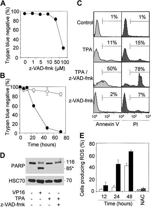Fig. 7. The caspase inhibitor z-VAD-fmk induces a switch from differentiation to death. / (A,B) U937 cells were exposed to 20 nM TPA in the presence of indicated concentrations of z-VAD-fmk for 48 hours (A) or 100 μM z-VAD-fmk for indicated times (B, ●) before counting the percentage of cells stained with trypan blue (○ indicates U937 cells exposed to 100 μM z-VAD-fmk in the absence of TPA). (C) U937 cells were either left untreated or treated with TPA (20 nM, 48 hours), z-VAD-fmk (100 μM, 48 hours), or the TPA/z-VAD-fmk combination. The percentages of cells labeled with annexin V–FITC (left panels) and propidium iodide (PI; right panels) were measured by flow cytometry. (D) Western blot analysis of poly(ADP-ribose)polymerase (PARP) in cells treated as above or with etoposide (VP16; 50 μM, 6 hours). HSC70 expression was used for checking loading. (E) Radical oxygen species measured by flow cytometry in cells exposed for indicated times to 20 nM TPA, in the absence (white bars) and presence (black bars) of 100 μM z-VAD-fmk. NAC indicates cotreatment with 25 mM N-acetyl-cysteine for 48 hours. Mean ± SD of 3 experiments in triplicate (A,B,E) or 1 representative of 3 independent experiments (C,D).