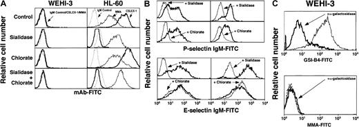 Fig. 4. Sialidase, chlorate, or α-galactosidase treatment of WEHI-3 cells does not expose epitopes for mAbs to Lex or sLex. / Cells were untreated (control) or pretreated with sialidase, chlorate, both sialidase and chlorate, or α-galactosidase. (A) The cells were incubated with a nonbinding control IgM or with anti-sLexmAb CSLEX-1 or anti-Lex mAb MMA. Bound mAb was detected with FITC-conjugated goat F(ab)′2 fragments to murine IgM. (B) The cells were incubated with murine P- or E-selectin IgM chimera, followed by FITC-conjugated goat anti–human IgM. (C) The cells were incubated with FITC-conjugated GSI-B4 lectin, which recognizes α1-3–linked galactose residues, or with a nonbinding control IgM or anti-Lex mAb MMA. The data are representative of at least 4 experiments.