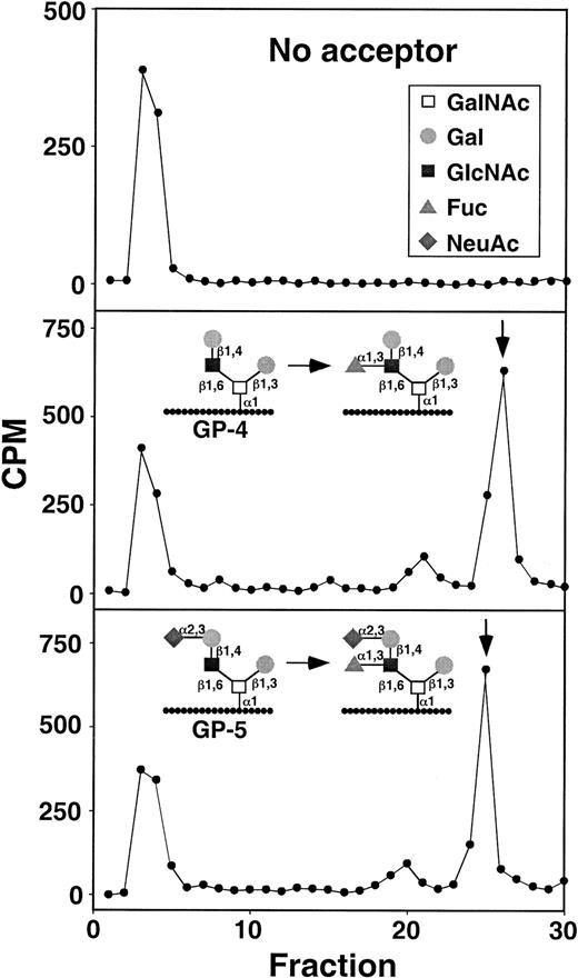 Fig. 7. HPLC characterization of α1-3-fucosyltransferase reaction products formed by WEHI-3 cell lysates. / The arrows indicate the retention times of fucosylated control reaction products formed with FTVI using either GP-4 or GP-5 as acceptor. The radioactivity eluting at fractions 3-4 contains an unidentified nonpeptide contaminant.