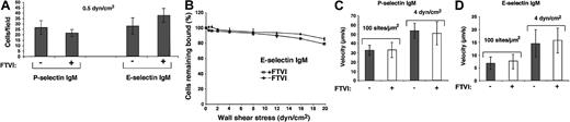 Fig. 10. Forced α1-3-fucosylation of murine neutrophils with FTVI and GDP-fucose does not augment cell rolling on P-selectin or E-selectin in shear flow. / (A) Control or FTVI-treated neutrophils were perfused over P-selectin IgM (90 sites/μm2) or E-selectin IgM (140 sites/μm2) at 0.5 or 1 dyn/cm2. After 4 minutes, the accumulated number of rolling cells was quantified. The data represent the mean ± SD of 3 experiments. (B) Control or FTVI-treated cells were allowed to accumulate on E-selectin at 0.5 dyn/cm2, and cell-free buffer was then introduced. Wall shear stress was increased every 30 seconds, and the percentage of remaining adherent cells was determined. The data represent the means ± SDs from 3 experiments. (C-D) Control or FTVI-treated cells were perfused over P- or E-selectin IgM at 0.5 or 4 dyn/cm2. The data represent the means ± SDs for rolling velocities measured for 50 cells from 3 experiments.