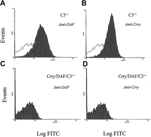 Fig. 1. FACS analysis for the presence of DAF and Crry in the erythrocytes of Crry/DAF/C3−/− mice. / FACS analysis showed that both DAF (panels A, C) and Crry (panels B, D) are absent from the erythrocytes of Crry/DAF/C3−/− mice (panels C, D). Erythrocytes from C3−/− mice (panels A, B) were used as a control. Open areas represent background signals in the absence of antibodies.