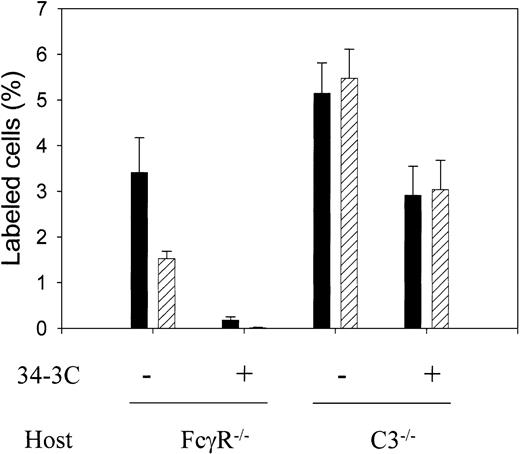Fig. 4. More rapid clearance of membrane complement regulator–deficient erythrocytes by the complement than by the FcR pathway. / Biotin-labeled Crry/DAF/C3−/− erythrocytes (3 × 108 per recipient) were either opsonized (+) or not (−) with 50 μg/mL mAb 34-3C, and transfused into FcγR−/− mice (complement-mediated pathway) or C3−/− mice (FcR-dependent pathway). The number of biotin-positive cells (expressed as percentage of total cells) in the recipient mice (n = 4 in FcγR−/− mice experiment; n = 6 and n = 7 for antibody-sensitized and nonsensitized, respectively, in C3−/− mice experiment) at 5 minutes (filled bars) and 3 hours (hatched bars) was determined. Very few of the antibody-opsonized cells were recovered from FcγR−/− mice at 5 minutes and almost none at 3 hours. In contrast, a high percentage of the antibody-opsonized cells remained in the circulation of C3−/− mice at 5 minutes and 3 hours. Error bars indicate means ± SE.