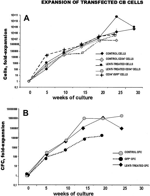 Fig. 1. Long-term expansion of CD34+ CB cells transduced with lentiviral vectors. / Twenty thousand CB CD34+ cells were prestimulated for 96 hours with FL, TPO, SCF, and IL6; then 1 × 105CD34+ prestimulated cells in 100 μL were transduced overnight with 2 × 106 lentiviral particles (MOI of 20) or with control medium. Cells were then washed and seeded in new 24-well plates and cultured in the presence of the same growth factors for up to 30 weeks. Aliquots of weekly demidepopulated wells were counted, analyzed for CD34/GFP expression (A), and plated in semisolid cultures for assessment of clonogenic progenitor output (B). Values represent the fold expansion, compared with input cells and colonies present in a single well (input CD34+/GFP+cells are those evaluated by FACS on the third day of liquid culture after transduction procedure; input GFP+ CFCs are the fluorescent colonies present in clonal cultures prepared soon after transduction). Representative experiment performed in triplicate wells.