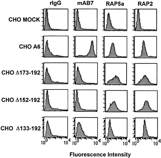 Fig. 1. Flow cytometry analysis of CD9 cDNA-transfected CHO cells using anti-CD9 EC1 and EC2 antibodies. / Cell suspensions were incubated with rabbit IgG (rIgG), anti-CD9 EC2 antibodies mAb7 or RAP5a, or anti-CD9 EC1 RAP2. Bound antibody was detected by a species-specific FITC-conjugated antibody. The measured mean fluorescence intensity of anti-CD9 EC1 RAP2 suggested that each CD9 clone had equivalent CD9 surface density. The lack of anti-CD9 mAb7 binding on all CD9 EC2 deletion mutants suggests that the mAb7 epitope is located on CD9 EC2.