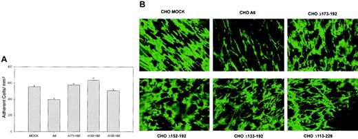 Fig. 2. CD9 influence on CHO cell adhesion to FN and pericellular FN matrix assembly is reversed by CD9 EC2 deletion mutant Δ173-192, Δ152-192, and Δ133-192 expression. / (A) MOCK, A6, and CD9 deletion mutants Δ173-192, Δ152-192, and Δ133-192 CHO cells were allowed to adhere to FN, as described in “Materials and methods.” After stringent washing, adherent cells were counted in 5 high-power (× 40) fields of view/well from 3 wells per assay and reported as the number of adherent cells/mm2. Data are expressed as the means ± SEs of 3 independent assays. All deletion mutants had adhesive phenotypes comparable to the CHO MOCK cells. (B) MOCK, A6, and CD9 EC2 deletion mutants Δ173-192, Δ152-192, Δ133-192, and Δ113-228 CHO cells were grown to 100% confluency in the presence of bovine plasma FN. Immunofluorescent images revealed that partial (Δ173-192, Δ152-192, and Δ133-192) or complete (Δ113-228) EC2 deletions restored the pericellular FN matrix assembly as effectively to that observed with MOCK CHO cells. Original magnification × 25.
